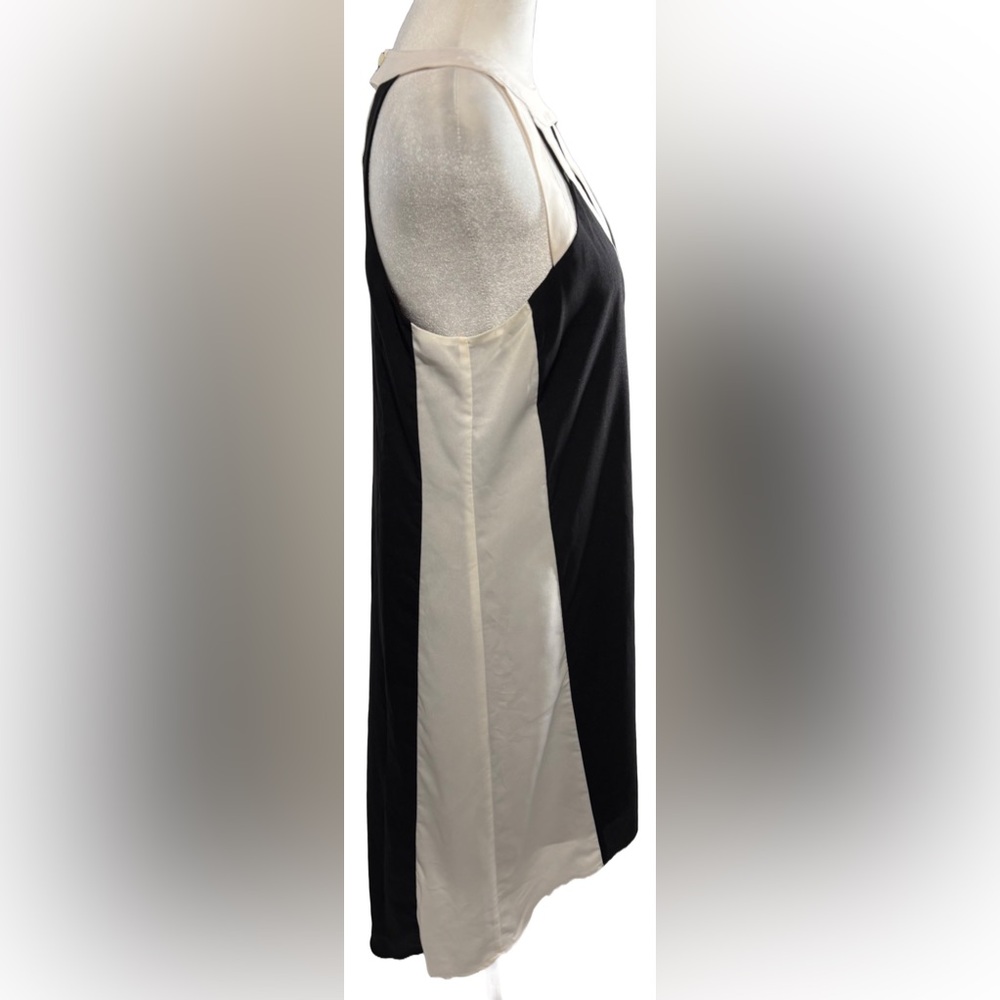 Project Runway S Black & White Vertical Stripes High-low Dress - Picture 3 of 9